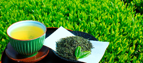 【第3回】「夏も近づく八十八夜」は、美味しくて体にいい“新茶”の収穫期。